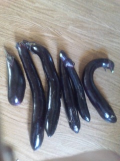 ������(��)