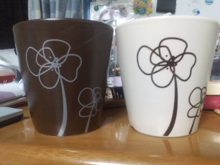 ���������̂�