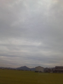 �������`�c